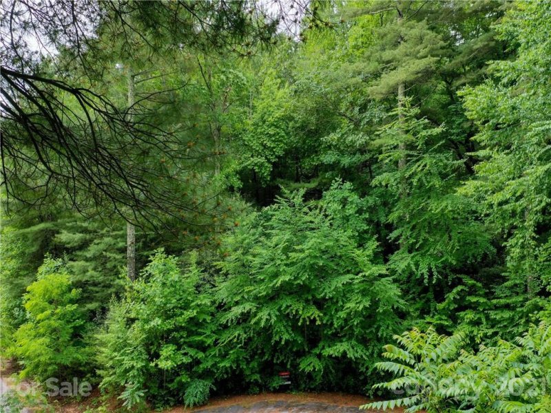 Property image 3 at 73 Summer Shade Court, Hendersonville, NC 28792