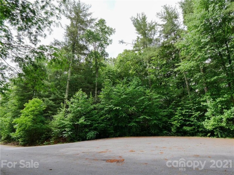 Property image 5 at 73 Summer Shade Court, Hendersonville, NC 28792