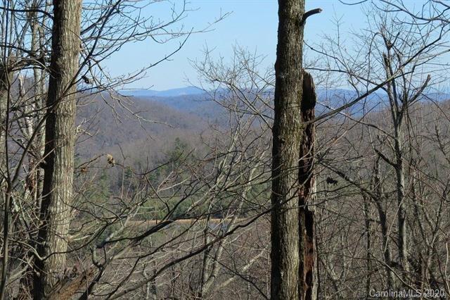 Property image 4 of 212 W Chestnut Ridges Road in Green River Ridges, Hendersonville, NC 28739