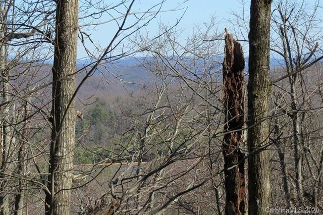 Property image 5 of 212 W Chestnut Ridges Road in Green River Ridges, Hendersonville, NC 28739