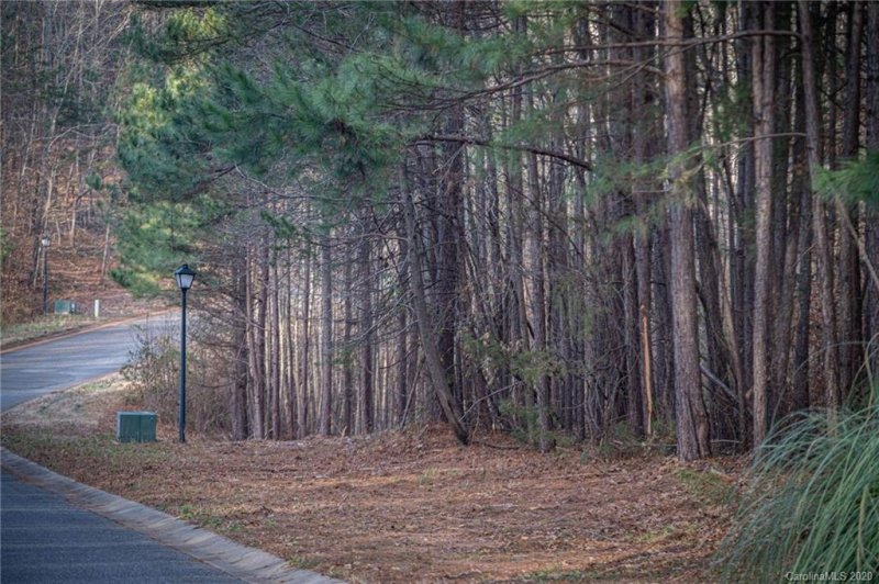 Property image 3 at 9016 Wagon Trail, Lincolnton, NC 28092