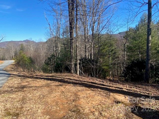 Property image 2 at 0000 Silverglen Way, Hendersonville, NC 28792