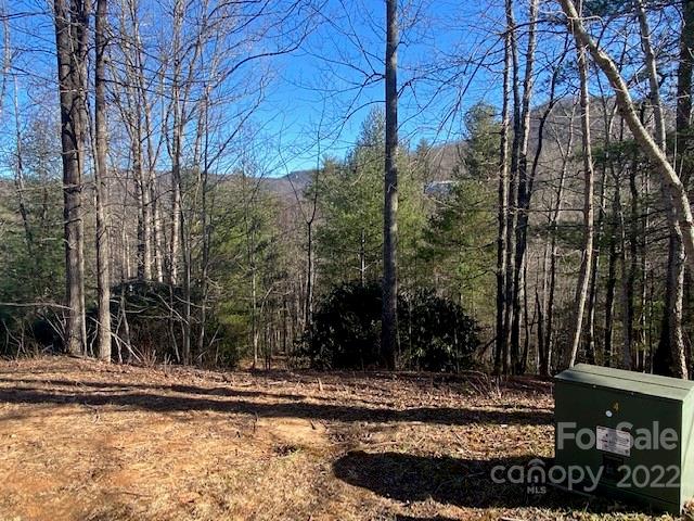Property image 5 at 0000 Silverglen Way, Hendersonville, NC 28792