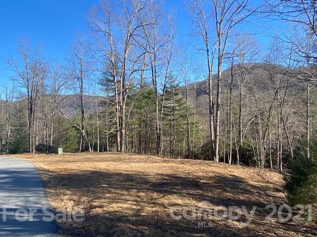 Property image 2 at 0000 Silverglen Way, Hendersonville, NC 28792