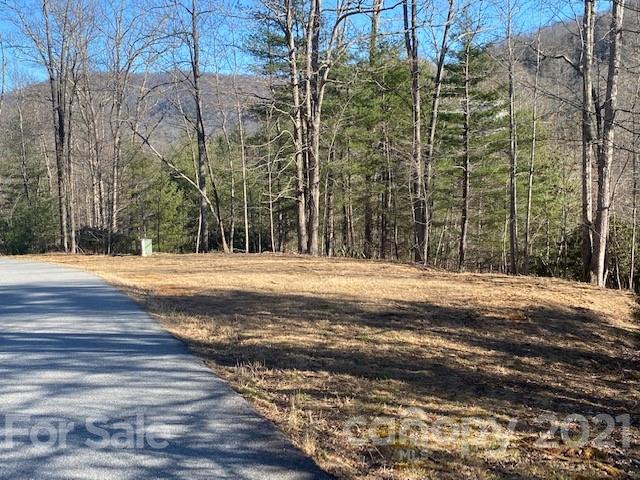 Property image 3 at 0000 Silverglen Way, Hendersonville, NC 28792