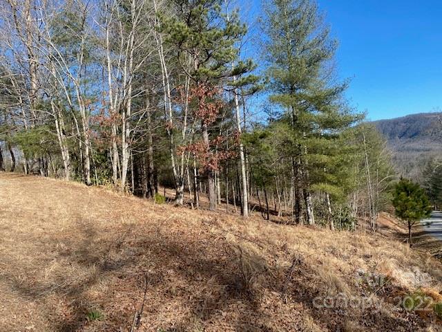 Property image 3 at 0000 Pebble Stone Trail, Hendersonville, NC 28792