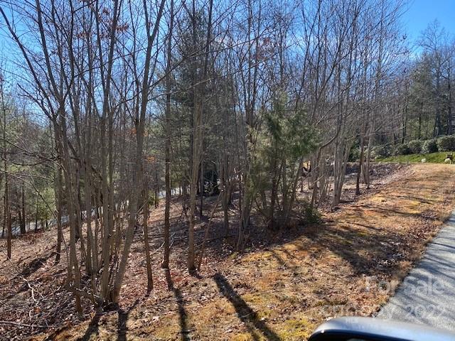 Property image 4 at 0000 Pebble Stone Trail, Hendersonville, NC 28792