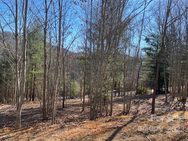 Property image 5 at 0000 Pebble Stone Trail, Hendersonville, NC 28792