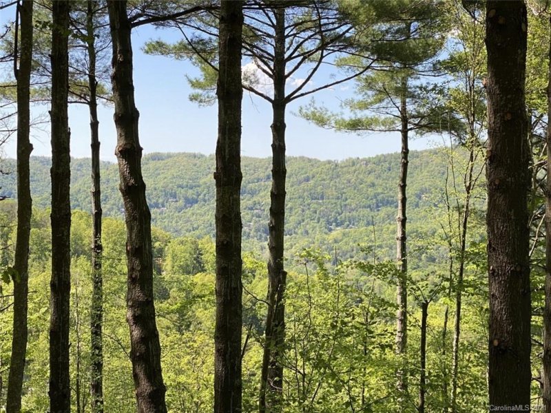 Property image 2 at 62 Bartrams Walk Drive, Asheville, NC 28804