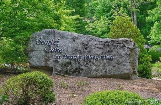 Property image 3 at 00 Primrose Way, Maggie Valley, NC 28751