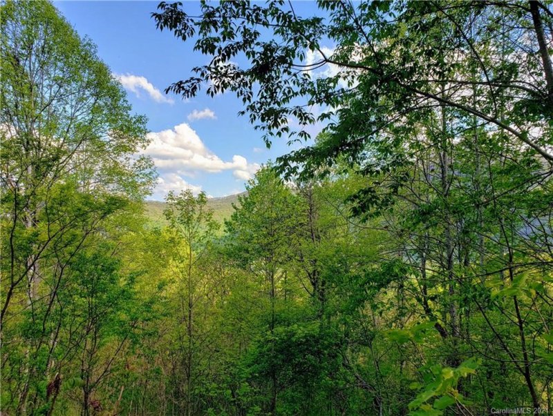 Property image 5 at 00 Havenwood Drive, Maggie Valley, NC 28751