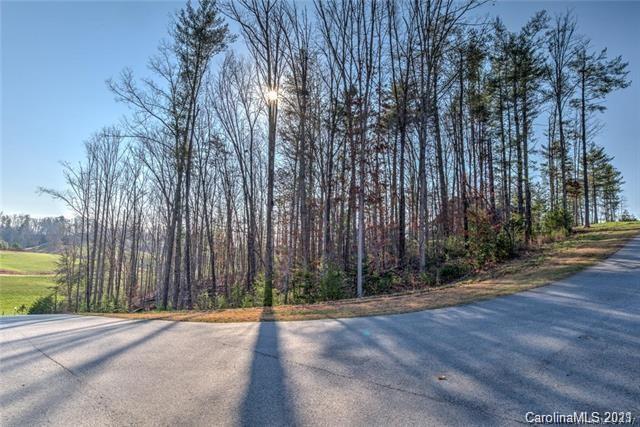 Property image 3 at 18 Grizzly Drive, Leicester, NC 28748