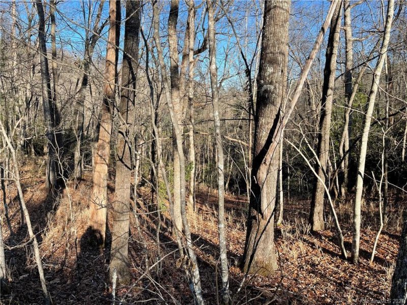 Property image 2 at Tbd Lobdell Road, Pisgah Forest, NC 28768