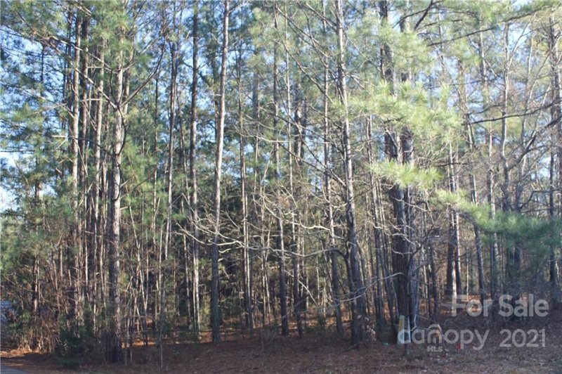 Property image 3 at 0000 Crown Court, Richburg, SC 29729