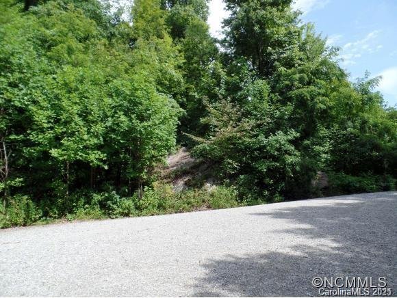 Lots 48 And 51 Eastatoe Gap Road