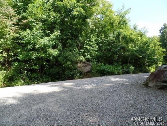Property image 3 at Lots 48 And 51 Eastatoe Gap Road, Rosman, NC 28772