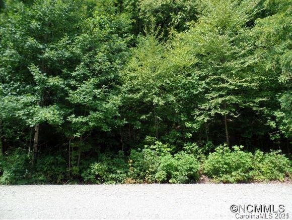 Property image 5 at Lots 48 And 51 Eastatoe Gap Road, Rosman, NC 28772