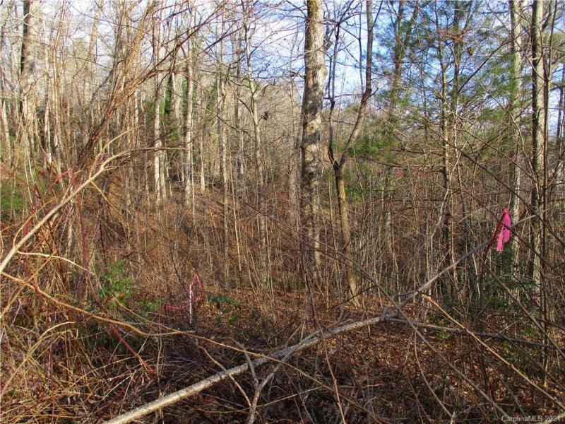 Property image 2 at Tbd Burge Mountain Road, Hendersonville, NC 28791