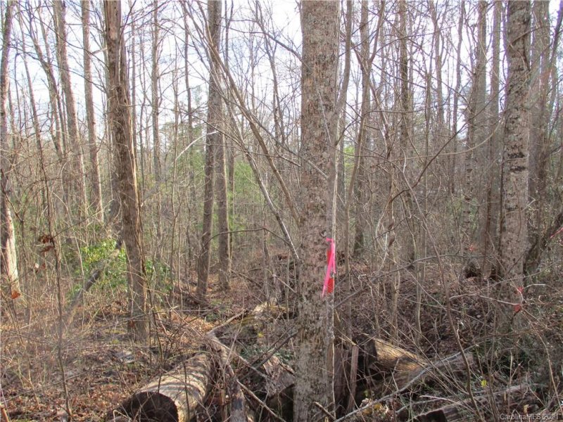 Property image 3 at Tbd Burge Mountain Road, Hendersonville, NC 28791