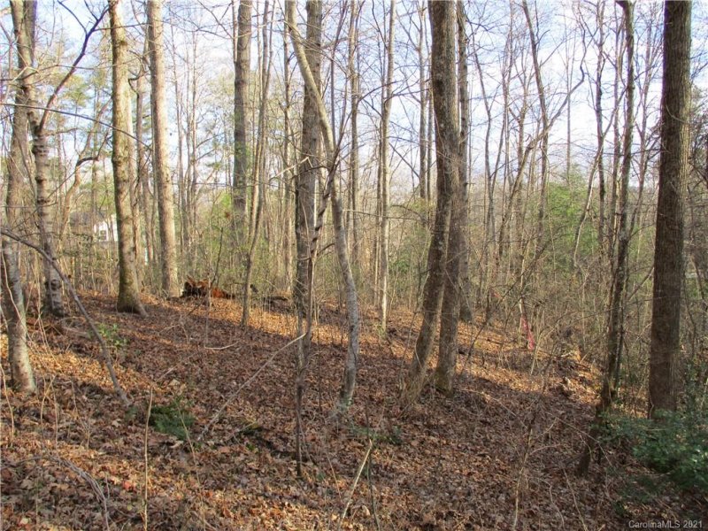 Property image 4 at Tbd Burge Mountain Road, Hendersonville, NC 28791