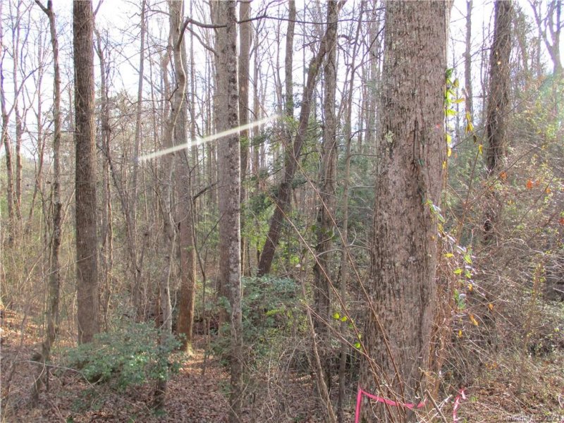 Property image 5 at Tbd Burge Mountain Road, Hendersonville, NC 28791