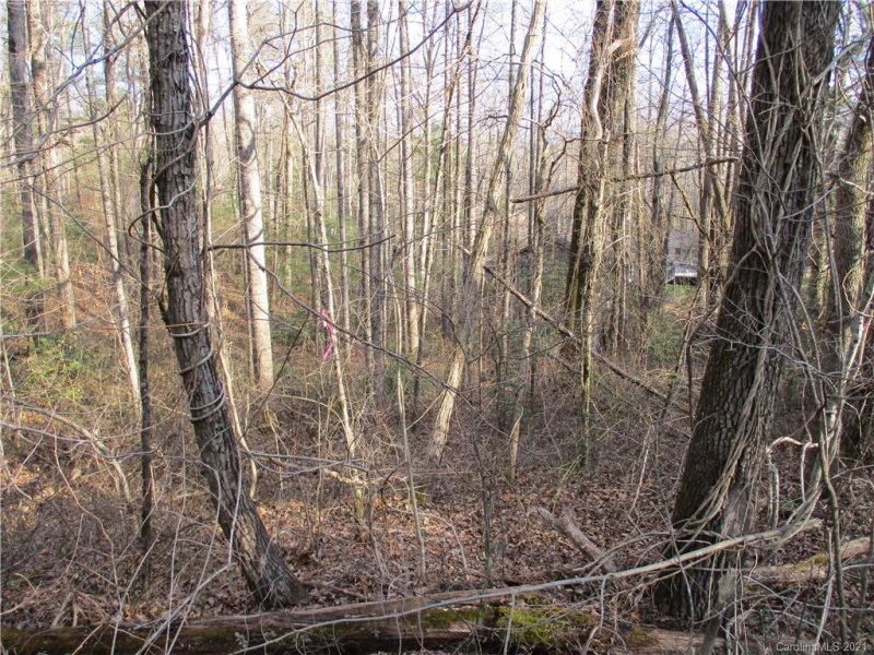 Property image 3 at 256 Burge Mountain Road, Hendersonville, NC 28792