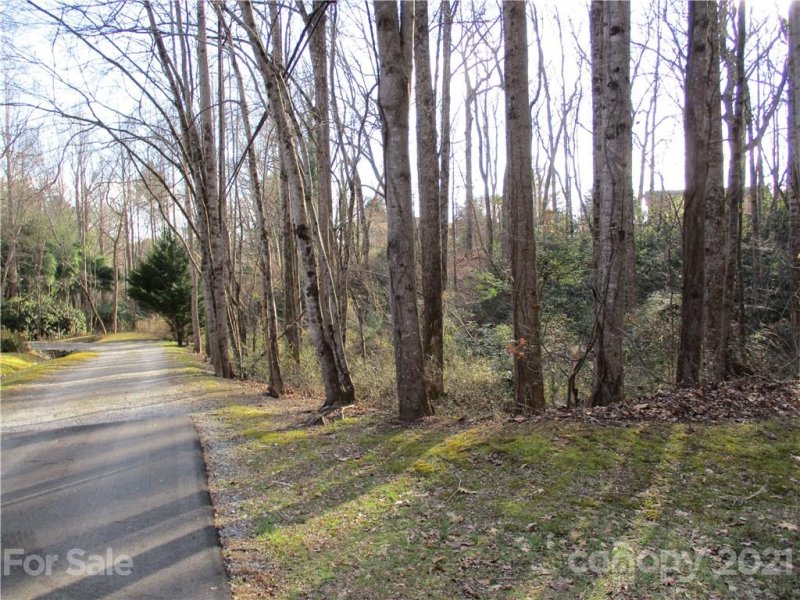 Property image 2 at Tbd Amberjack Drive, Hendersonville, NC 28791