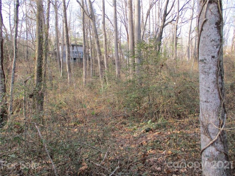 Property image 3 at Tbd Amberjack Drive, Hendersonville, NC 28791