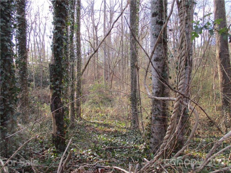 Property image 4 at Tbd Amberjack Drive, Hendersonville, NC 28791