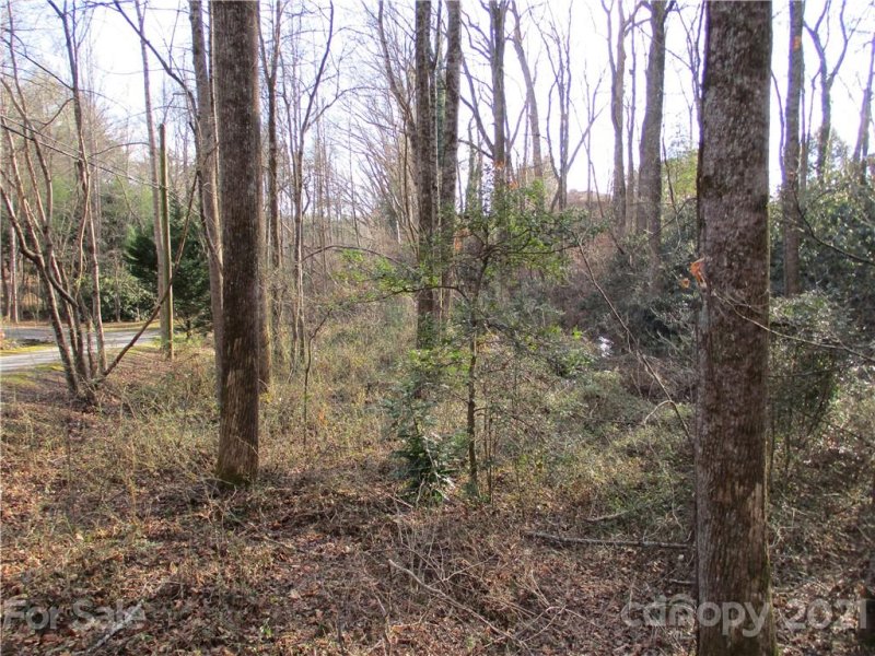 Property image 5 at Tbd Amberjack Drive, Hendersonville, NC 28791