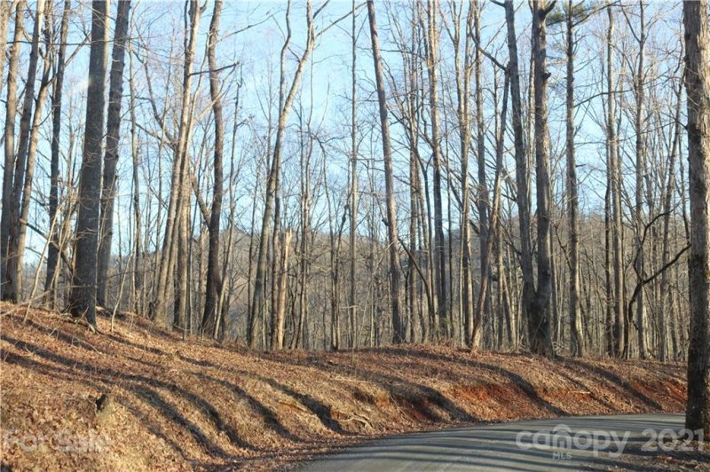 Property image 5 at 0 Cane Creek Mountain Road, Union Mills, NC 28167
