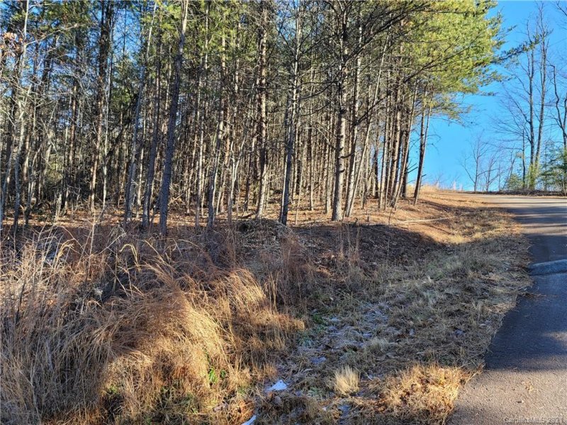 Property image 4 at 295 South View Drive, Marion, NC 28752