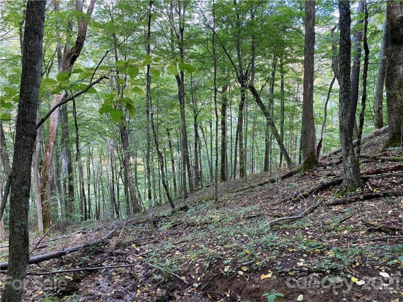 Property image 2 at 167 Puncheon Lane, Mars Hill, NC 28754