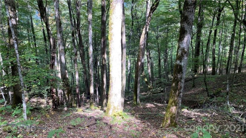 Property image 5 at 167 Puncheon Lane, Mars Hill, NC 28754