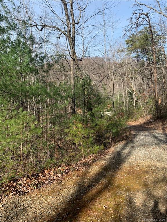 Property image 3 at 00 Highland Meadows Way, Lenoir, NC 28645