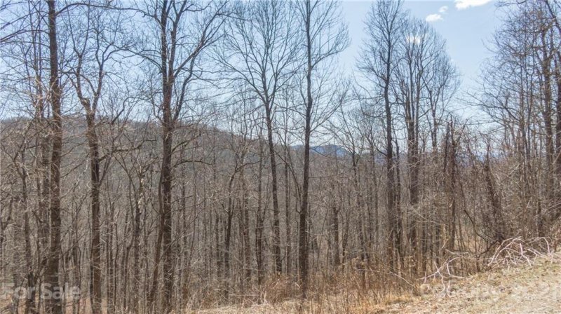 Property image 3 at Tbd Eastatoe Gap Road, Rosman, NC 28772