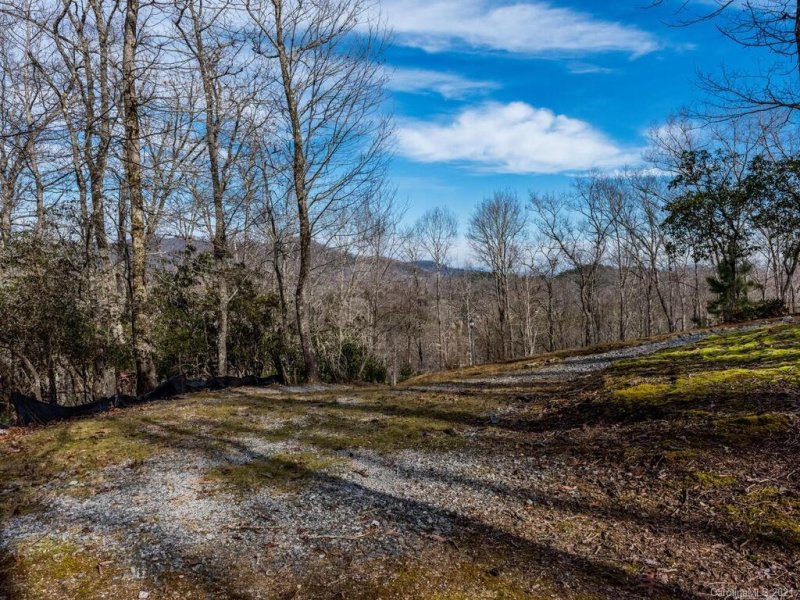Property image 5 at Lot 29 101 Buckhead Trail, Mills River, NC 28759