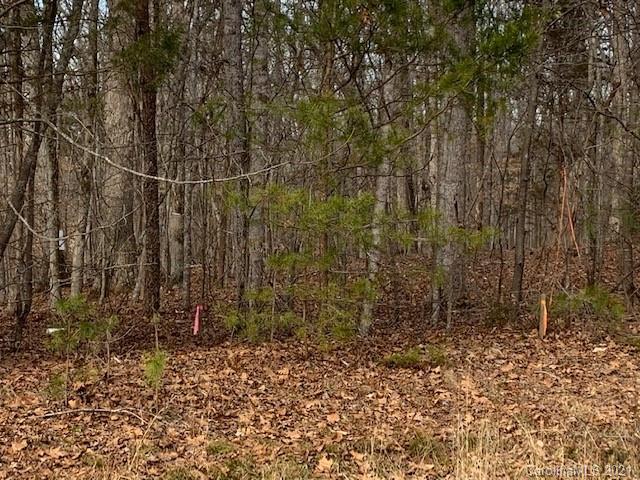 Property image 2 at Lot 42 Sardis Court, Iron Station, NC 28080