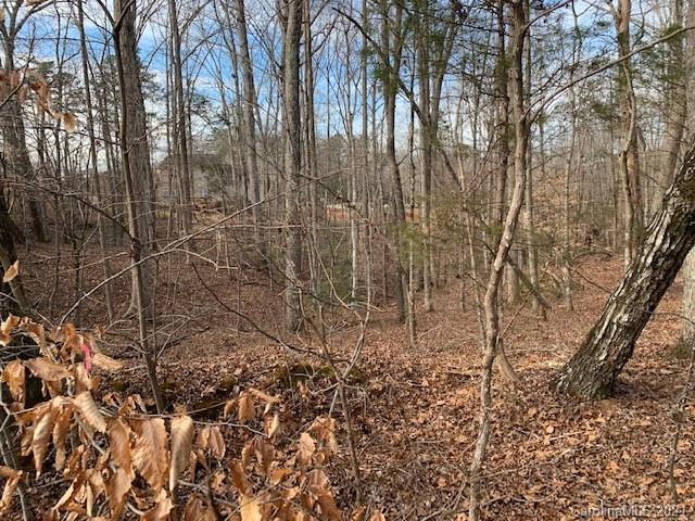 Property image 3 at Lot 42 Sardis Court, Iron Station, NC 28080