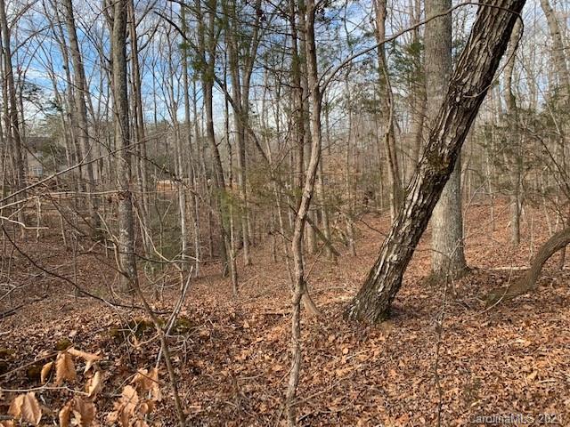 Property image 4 at Lot 42 Sardis Court, Iron Station, NC 28080