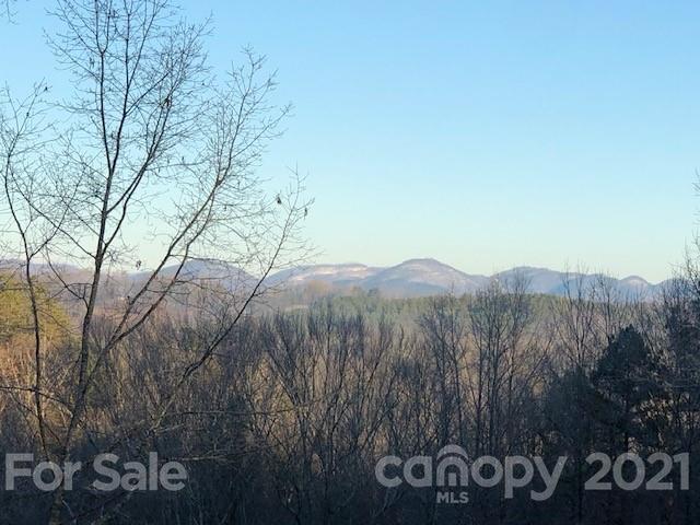 Property image 5 at 147 Shady Dale Lane, Rutherfordton, NC 28139