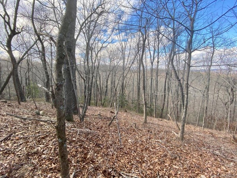 Property image 2 at Lot 44 Table Rock Road, Saluda, NC 28773