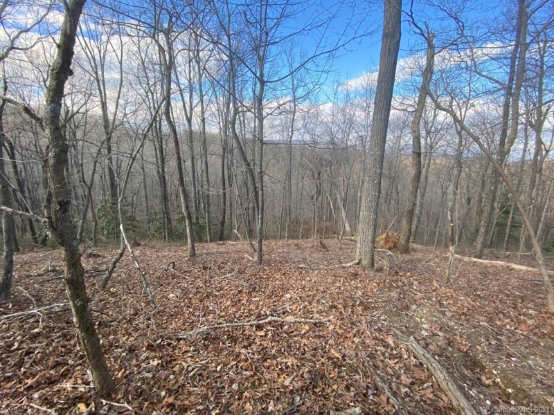 Property image 3 at Lot 44 Table Rock Road, Saluda, NC 28773