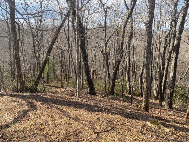 Property image 4 at Lot 44 Table Rock Road, Saluda, NC 28773
