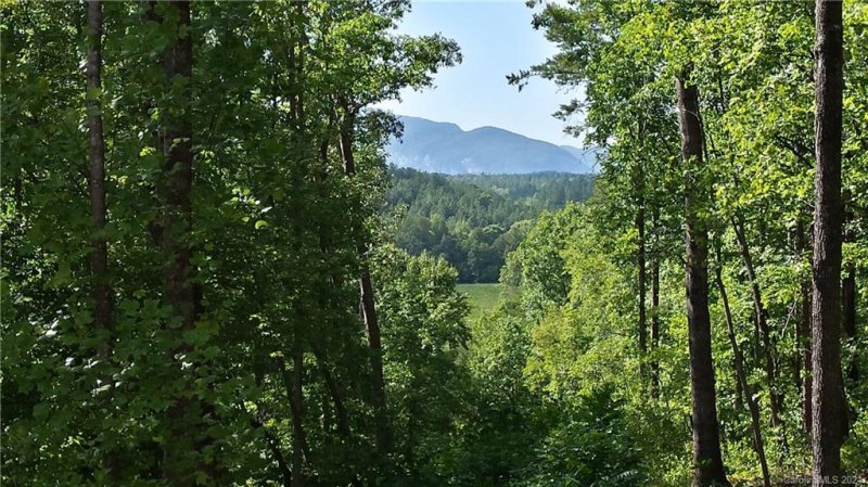 Property image 2 at Lot 8 Cross Creek Trail, Mill Spring, NC 28756