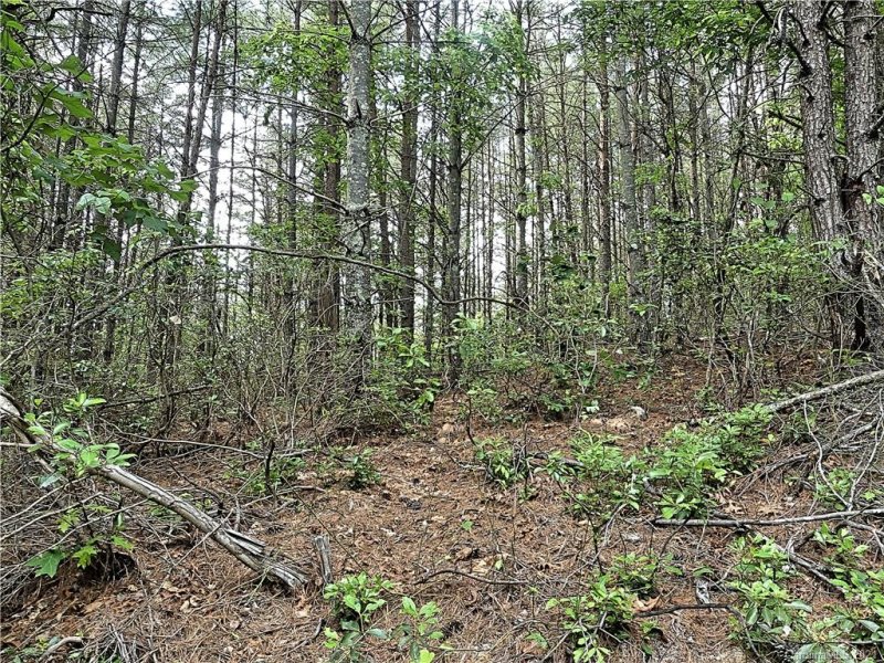 Property image 4 at 2542 Ivy Rays Way, Nebo, NC 28761