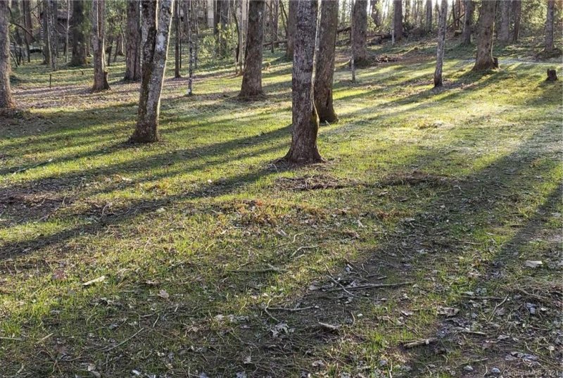 Property image 2 at 2067 Line Runner Ridge Road, Rosman, NC 28772