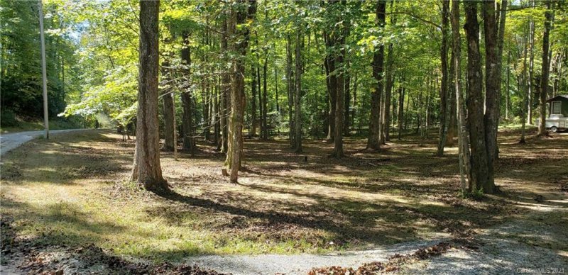 Property image 3 at 2067 Line Runner Ridge Road, Rosman, NC 28772