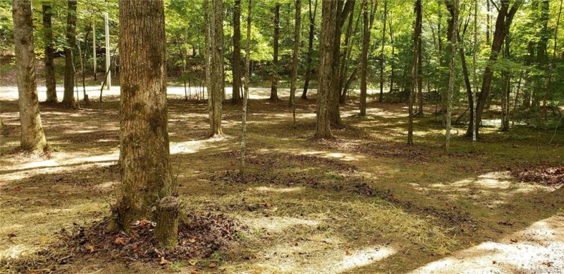 Property image 4 at 2067 Line Runner Ridge Road, Rosman, NC 28772