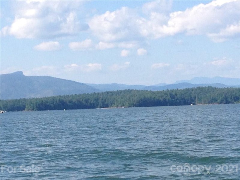 Property image 3 at 56 Lake Haven Drive, Marion, NC 28752